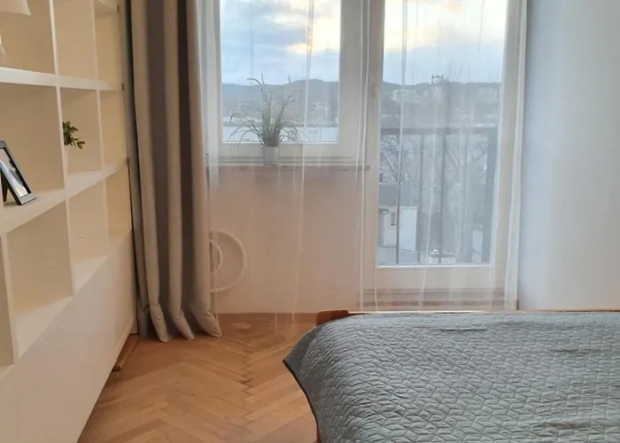 公寓 Duze Mieszkanie Na Plowcach 索波特